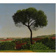 Desde el hotel Oromana