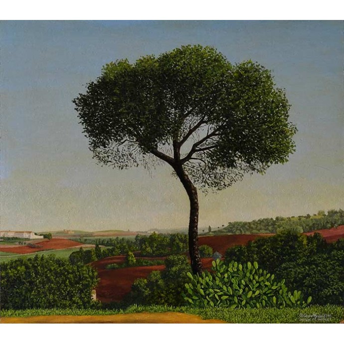 Desde el hotel Oromana